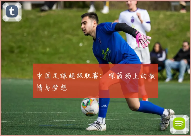中国足球超级联赛：绿茵场上的激情与梦想