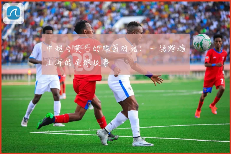中超与英乙的绿茵对话：一场跨越山海的足球故事